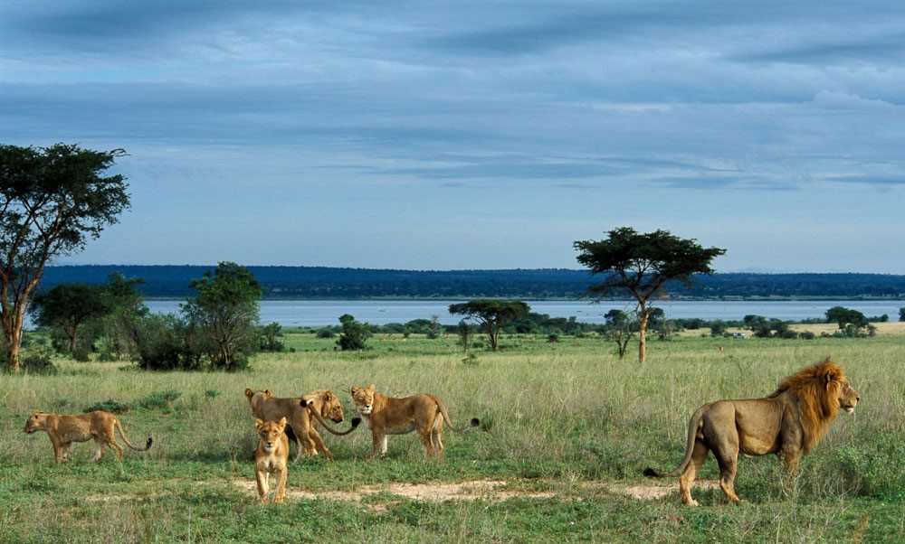 Uganda: nel cuore della natura africana