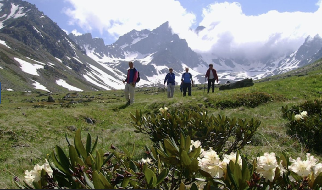 Turchia, montagne del mar Nero, i pascoli del Kaçkar