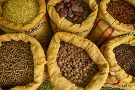India: La Via delle Spezie