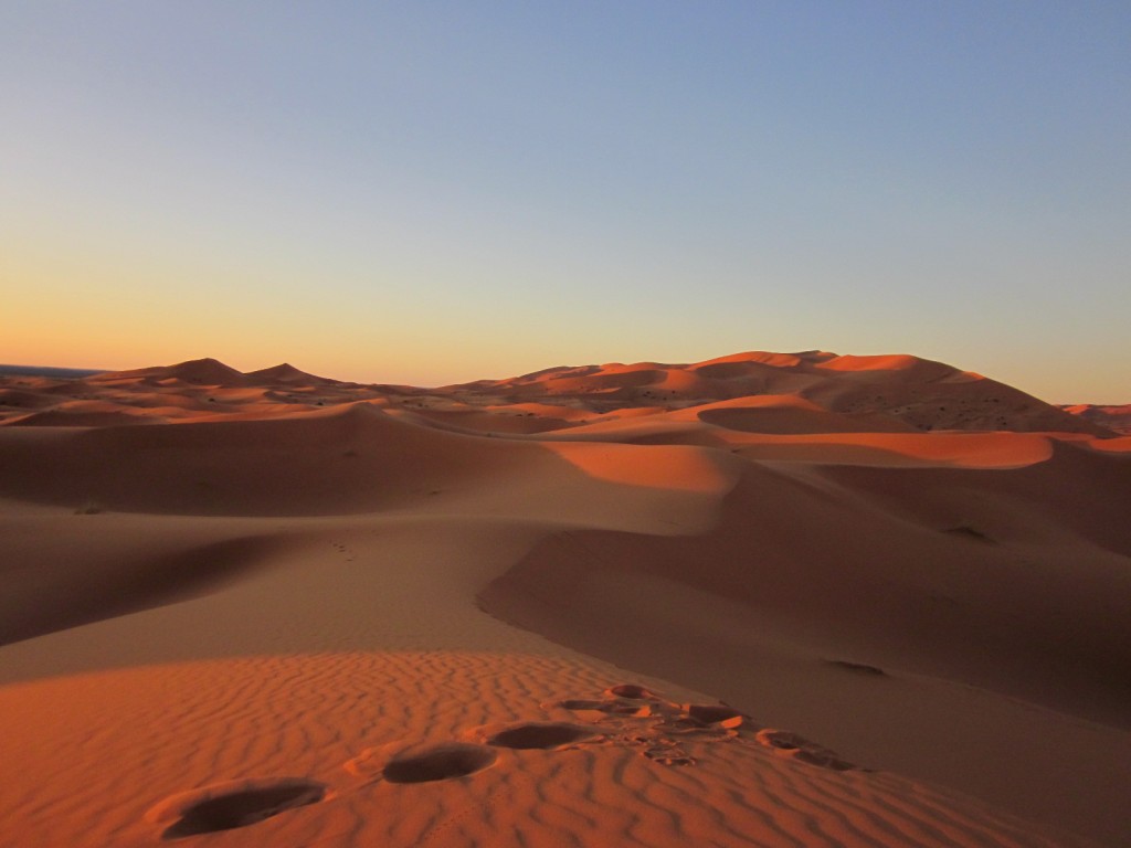 Marocco: Da Marrakech ai confini del deserto