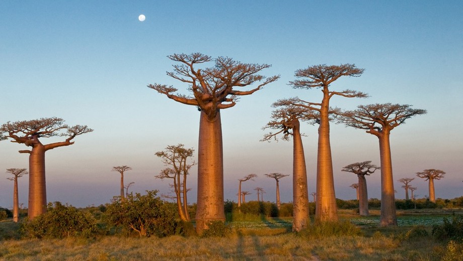 Madagascar: alla scoperta del sud dell'isola