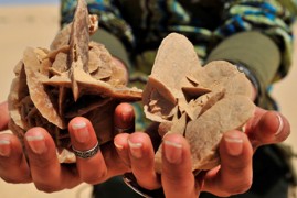 Tunisia: Viaggio Sensoriale