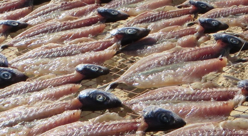 Portogallo