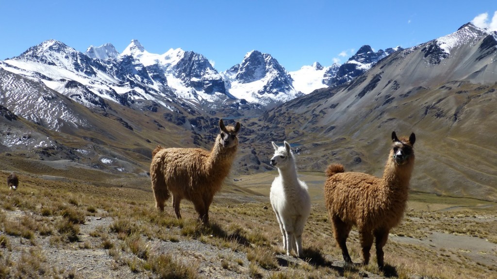 Bolivia: storia, genti e natura