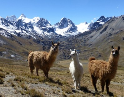 Bolivia: storia, genti e natura