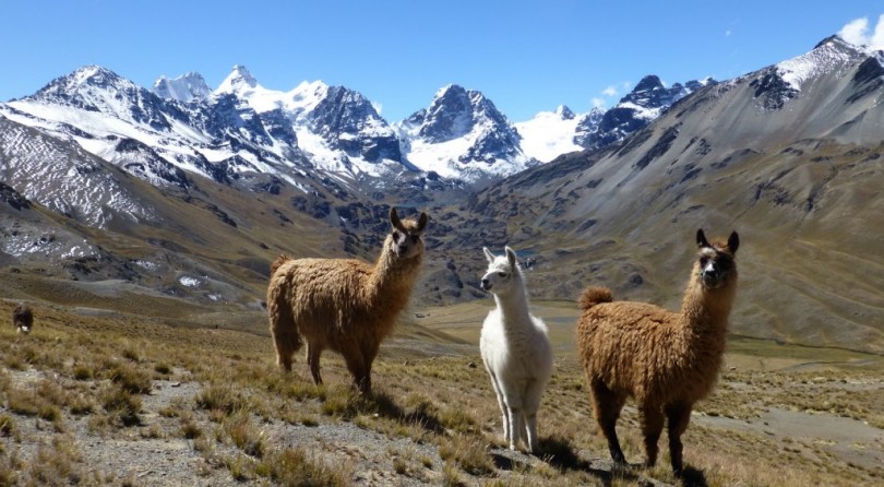 Bolivia: storia, genti e natura