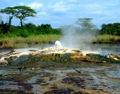 Uganda: safari africano