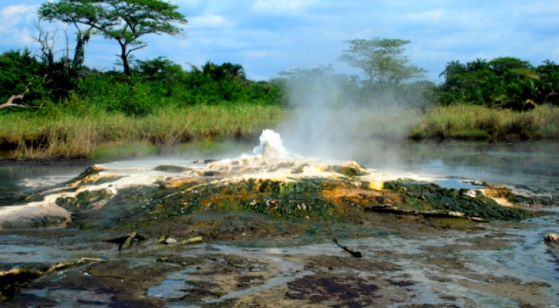 Uganda: safari africano