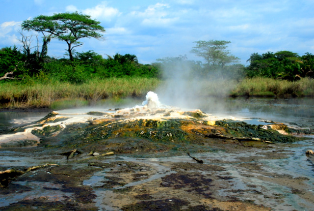 Uganda: safari africano
