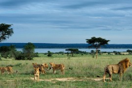 Uganda: nel cuore della natura africana