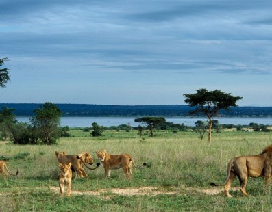 Uganda: nel cuore della natura africana