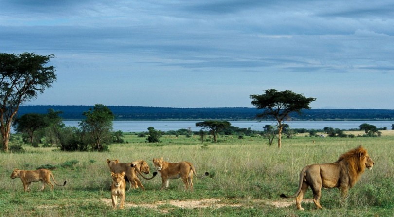 Uganda: nel cuore della natura africana