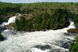 Fra i parchi nazionali dell’Uganda
