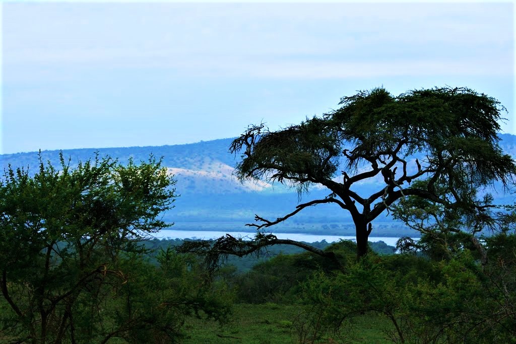 Nella natura dell'Uganda