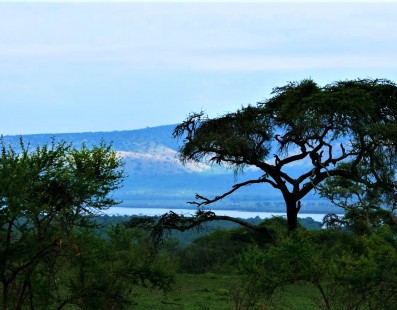 Nella natura dell’Uganda