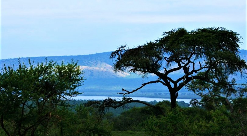 Nella natura dell’Uganda