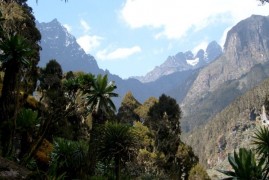 Uganda: trekking nel Rwenzori