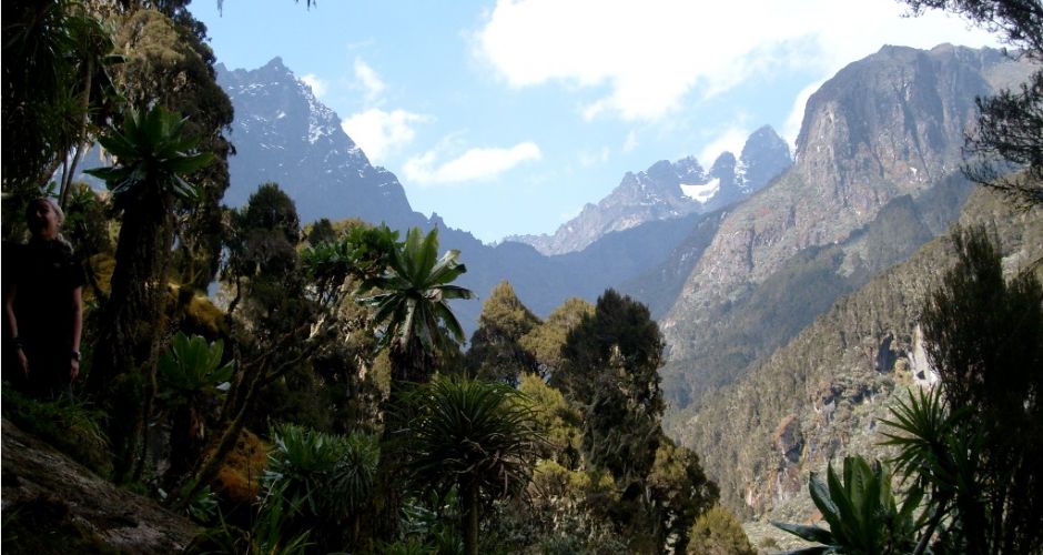 Uganda: trekking nel Rwenzori