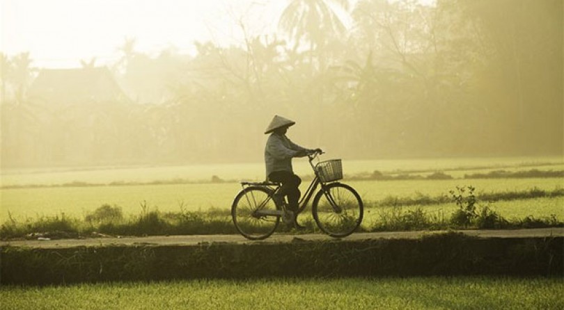 Vietnam: Nord e Centro con Trekking