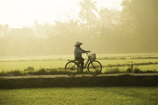 Vietnam: Nord e Centro con Trekking