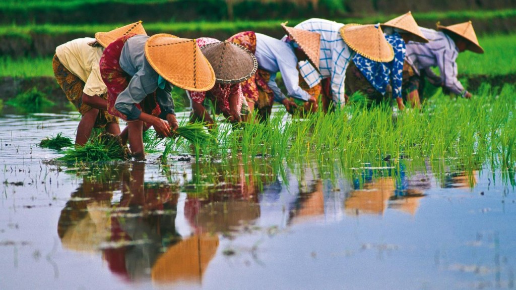 Vietnam classico, 7 giorni