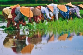 Vietnam classico, 7 giorni