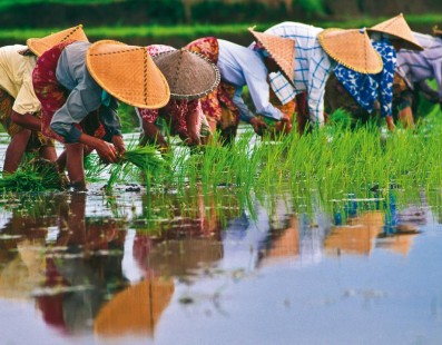Vietnam classico, 7 giorni
