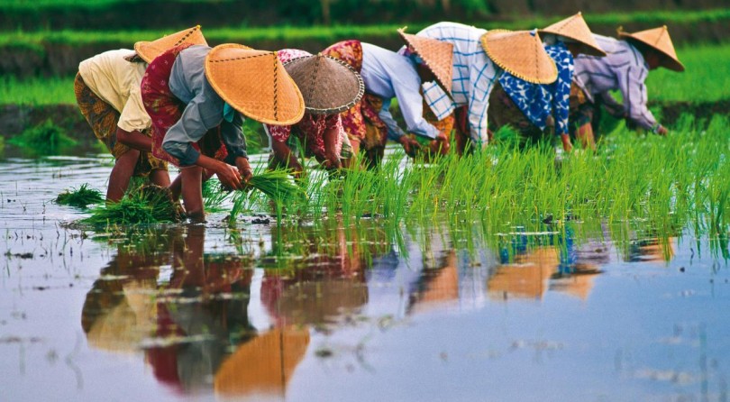 Vietnam classico, 7 giorni