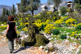 Turchia, Via Licia: Il Cammino delle Orchidee