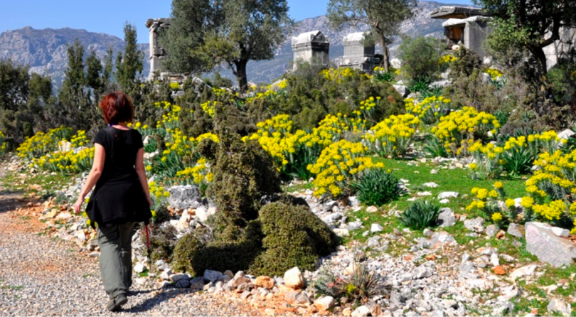 Turchia, Via Licia: Il Cammino delle Orchidee