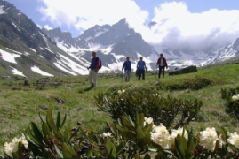 Turchia, 8 giorni, trekking tra gli alti pascoli del Kaçkar sul Mar Nero