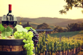 Armenia: Festival del Vino di Areni, 7 giorni e 6 notti
